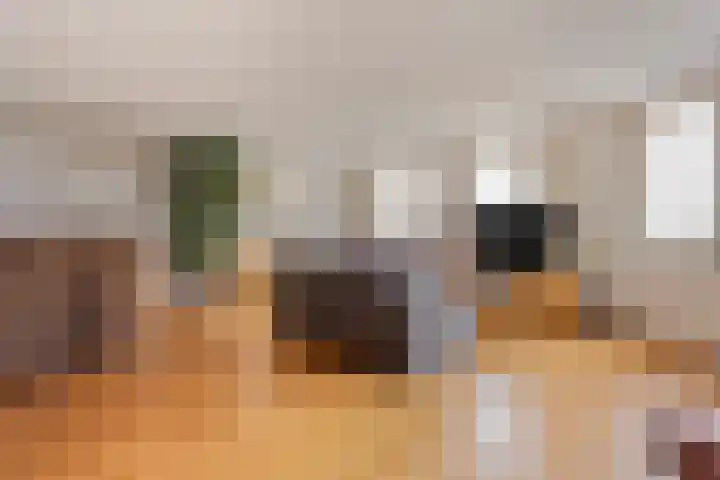 Wuyvenhaerd 69 's-Hertogenbosch thumbnail 7