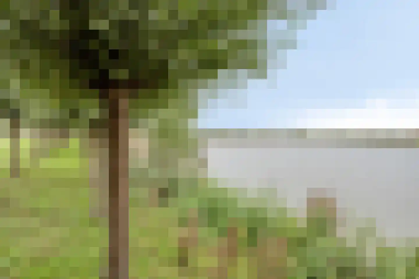 Wuyvenhaerd 70 's-Hertogenbosch thumbnail 27