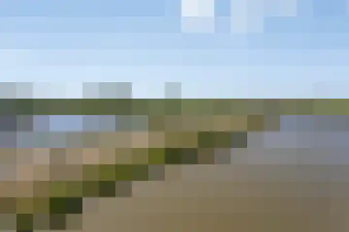 Wuyvenhaerd 72 's-Hertogenbosch thumbnail 13