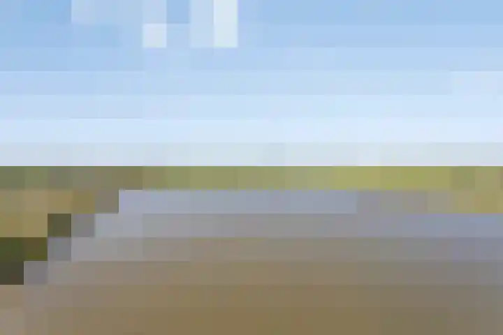Wuyvenhaerd 72 's-Hertogenbosch thumbnail 14