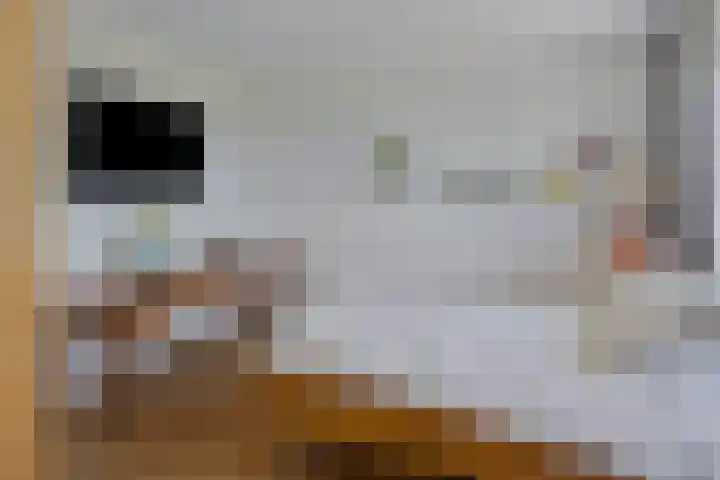 Wuyvenhaerd 72 's-Hertogenbosch thumbnail 21