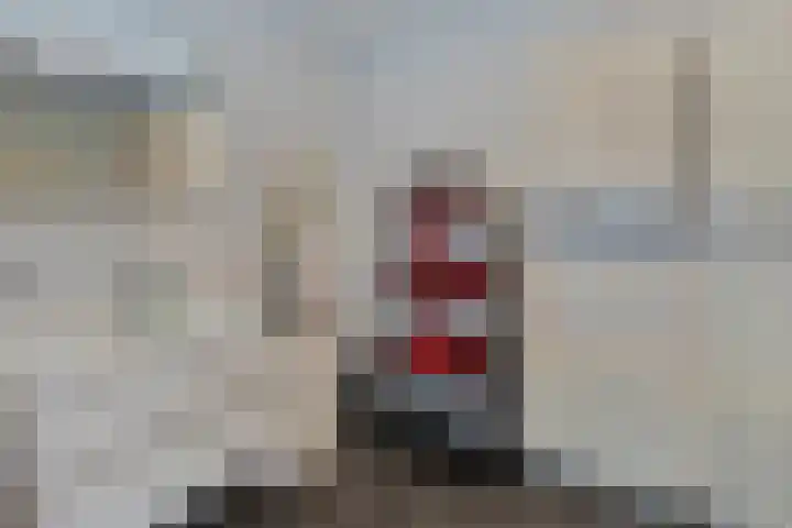 Wuyvenhaerd 72 's-Hertogenbosch thumbnail 22