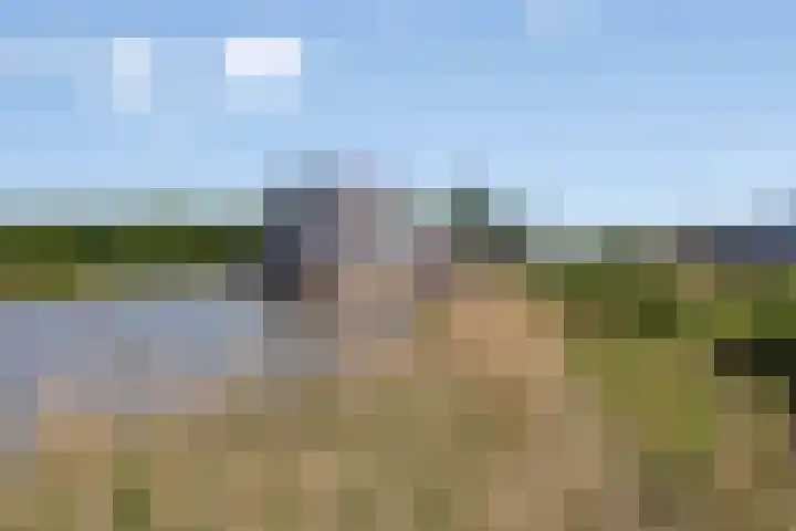 Wuyvenhaerd 72 's-Hertogenbosch thumbnail 31