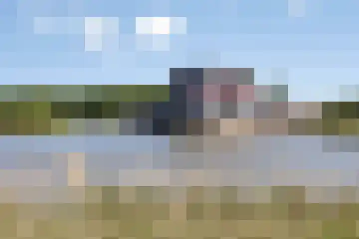 Wuyvenhaerd 72 's-Hertogenbosch thumbnail 34