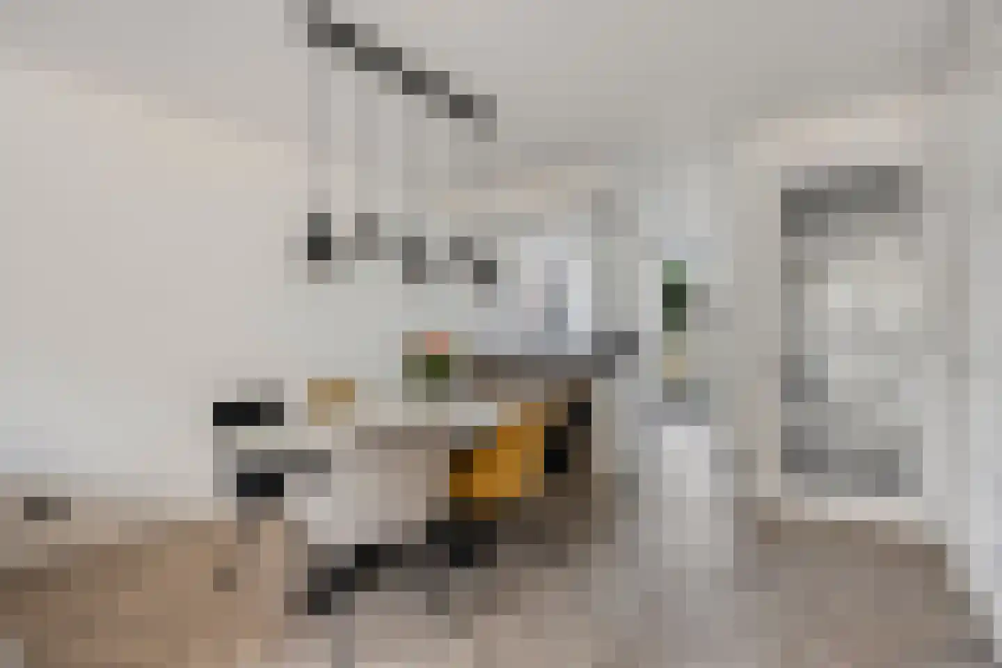 Wyandottelaan 25 Barneveld thumbnail 13