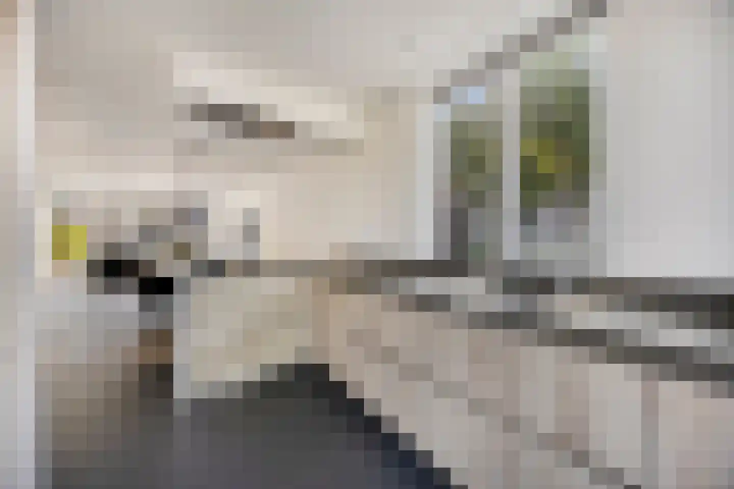 Wyandottelaan 25 Barneveld thumbnail 15