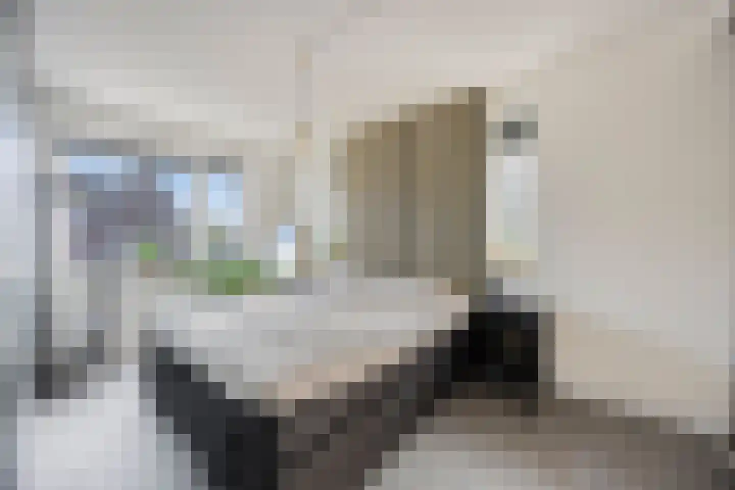 Wyandottelaan 25 Barneveld thumbnail 18