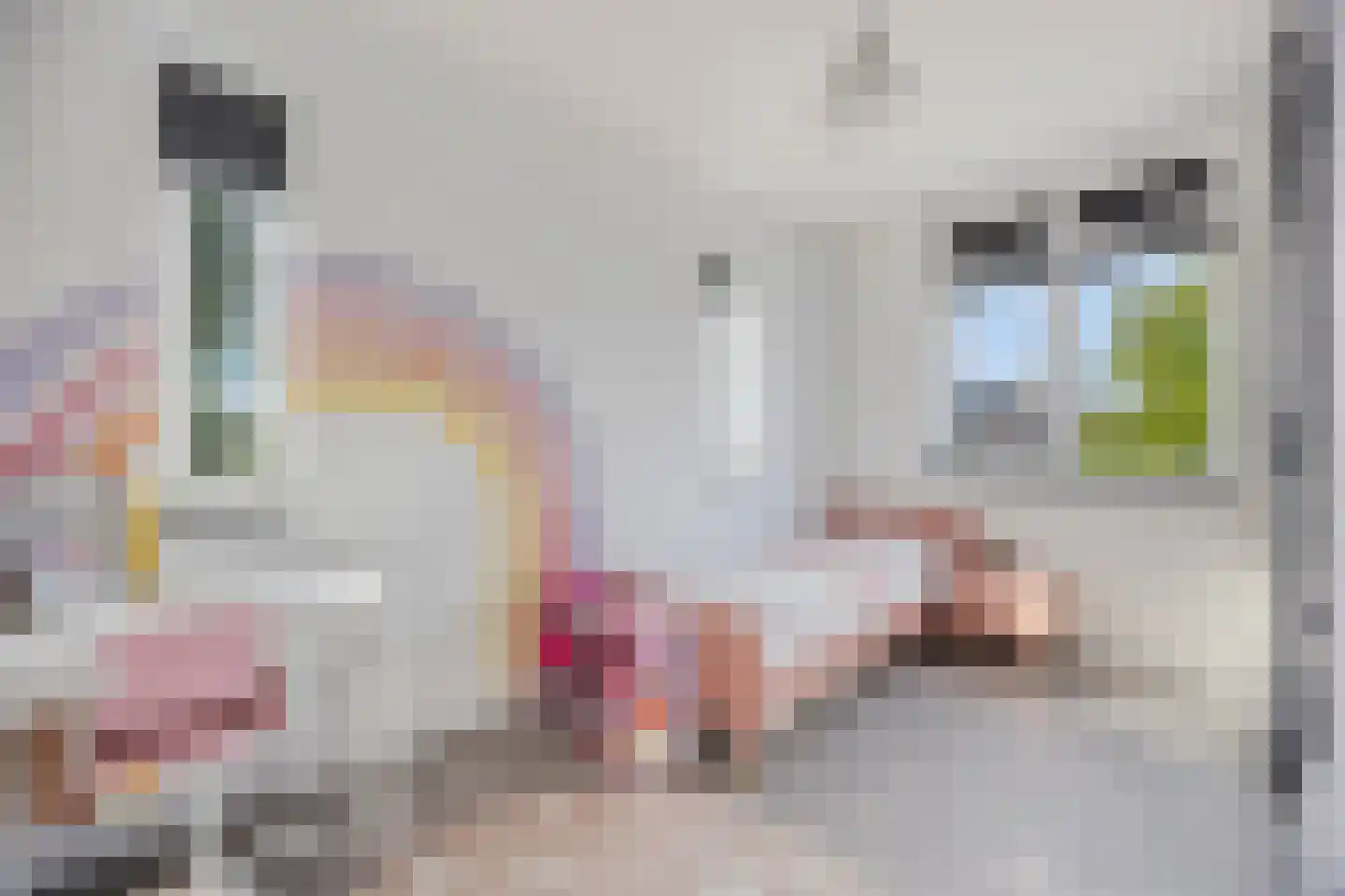 Wyandottelaan 25 Barneveld thumbnail 20