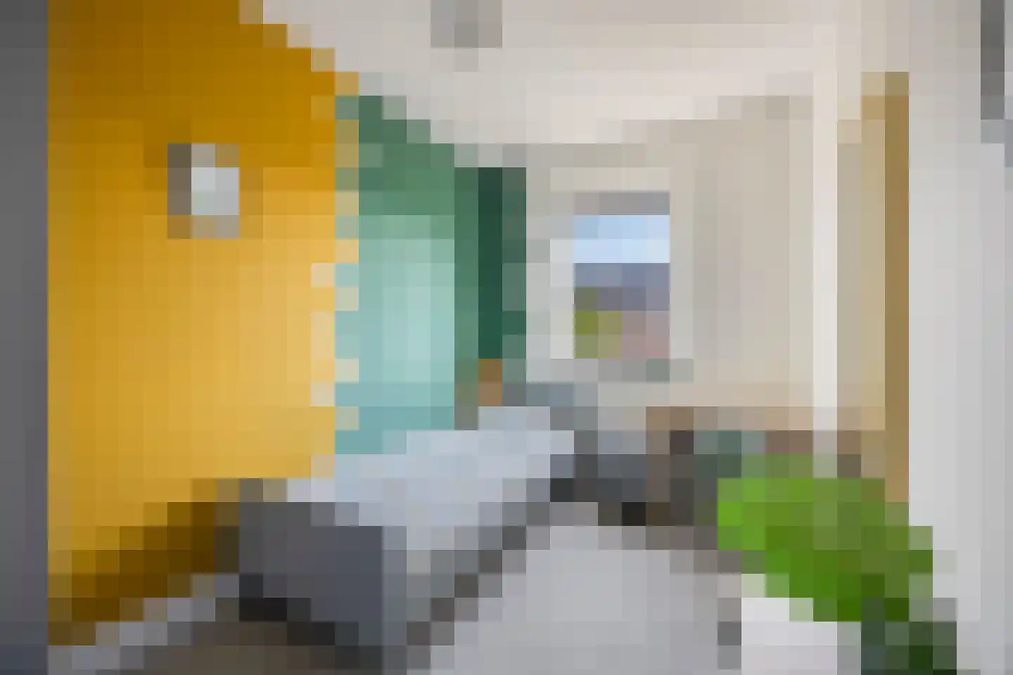 Wyandottelaan 25 Barneveld thumbnail 22