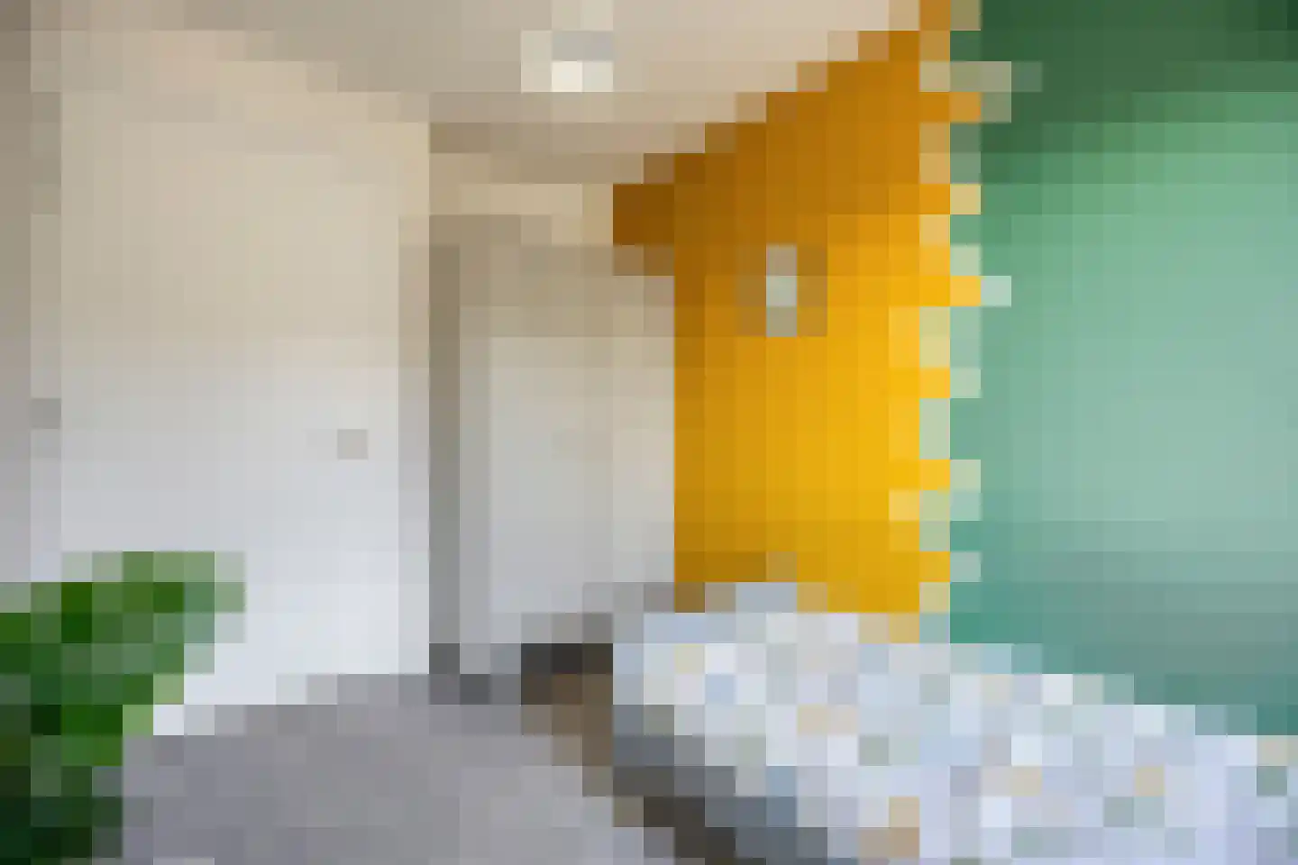 Wyandottelaan 25 Barneveld thumbnail 23
