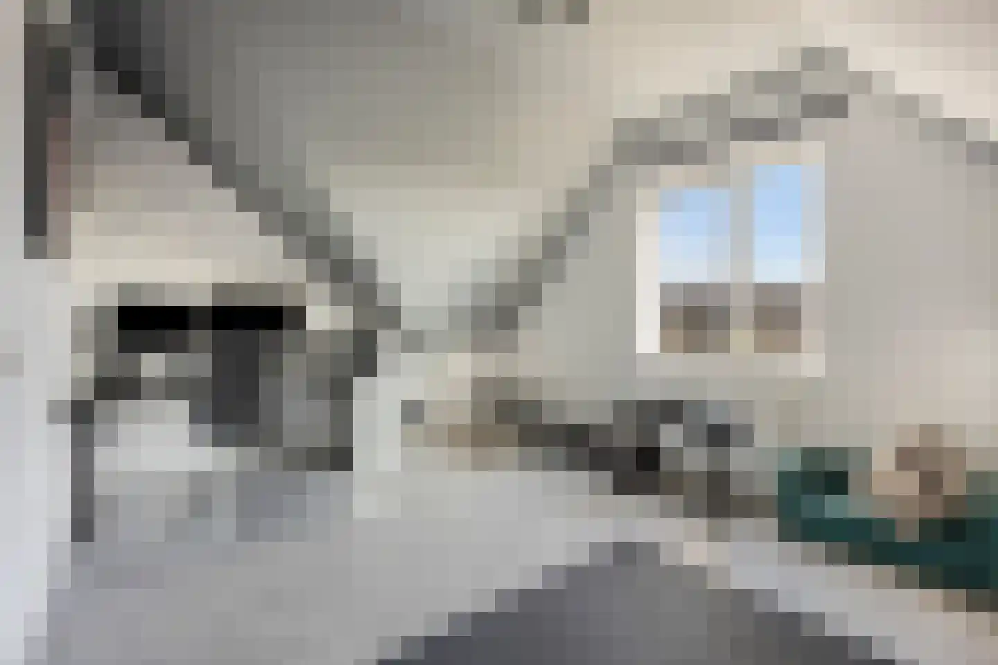 Wyandottelaan 25 Barneveld thumbnail 28