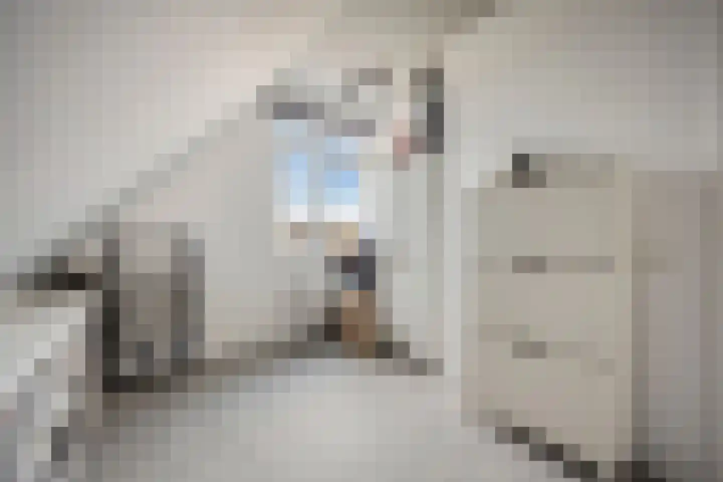 Wyandottelaan 25 Barneveld thumbnail 30