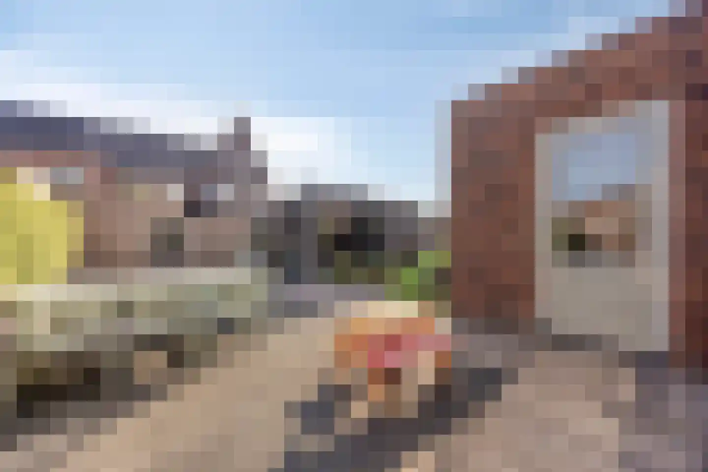 Wyandottelaan 25 Barneveld thumbnail 32