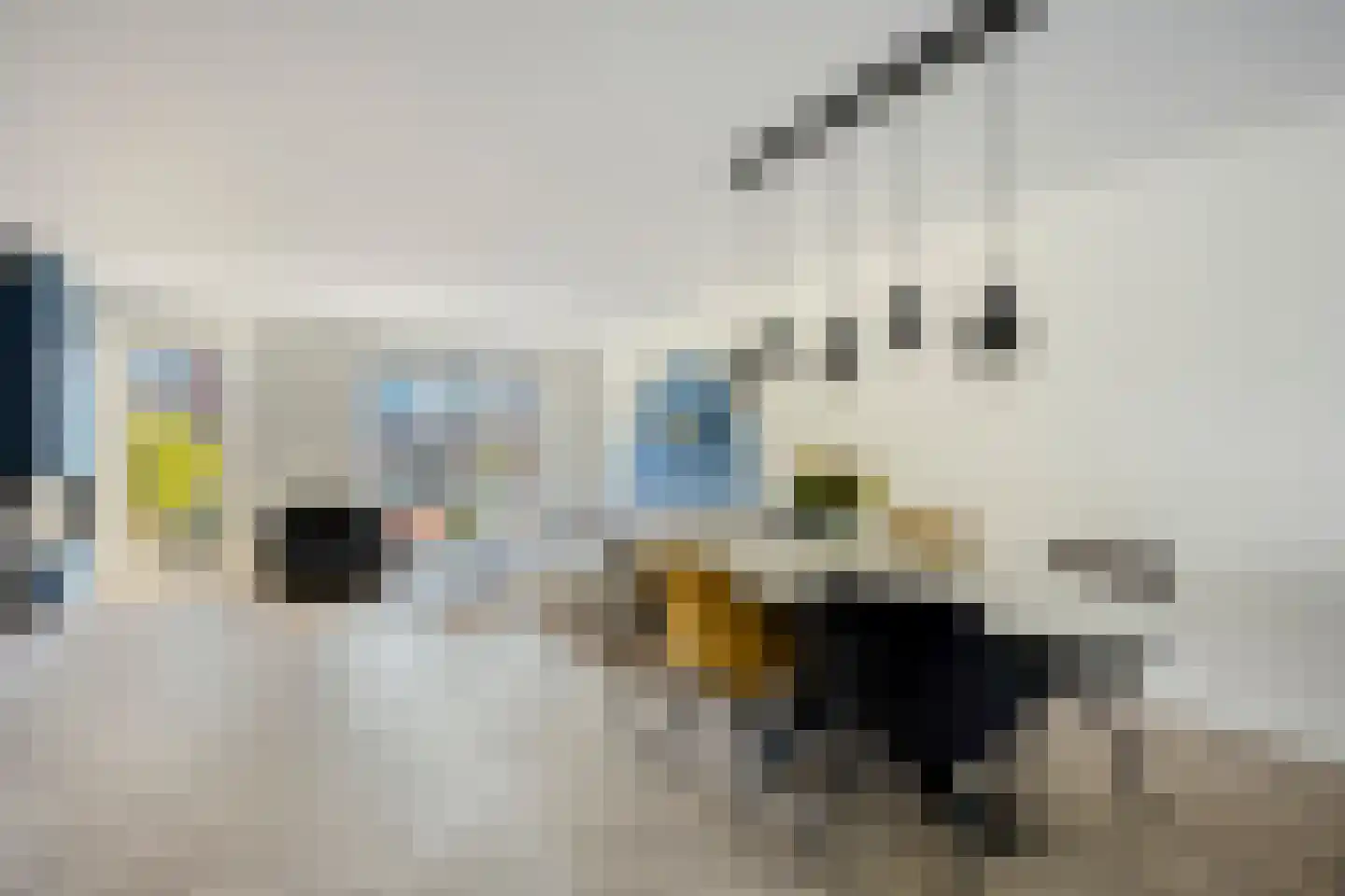Wyandottelaan 25 Barneveld thumbnail 9