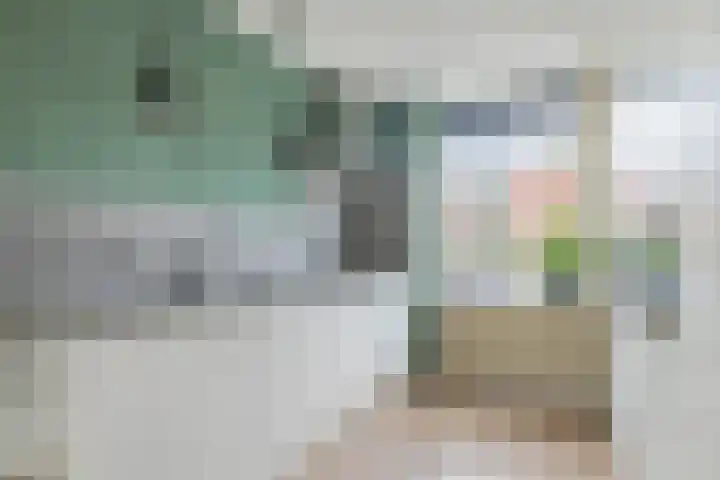 Wyandottelaan 5 Barneveld thumbnail 10