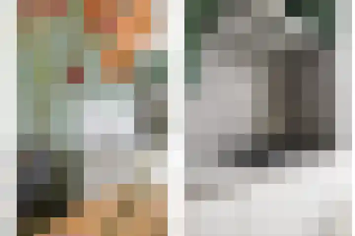 Wyandottelaan 5 Barneveld thumbnail 12