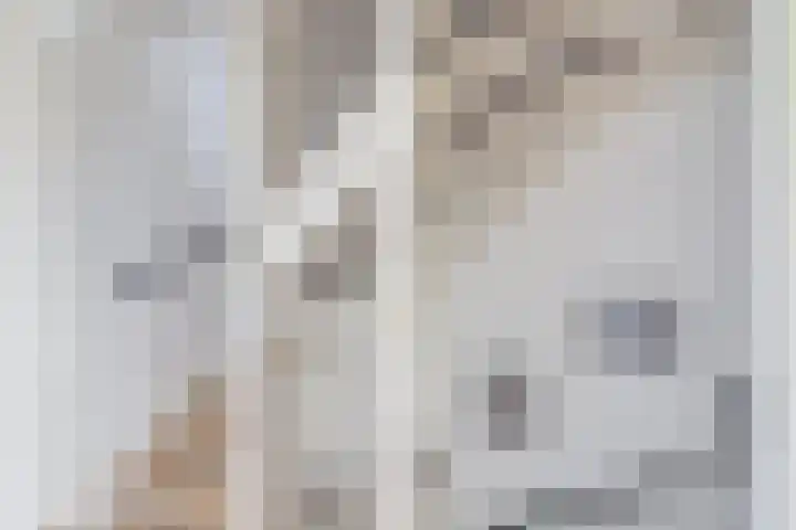 Wyandottelaan 5 Barneveld thumbnail 20