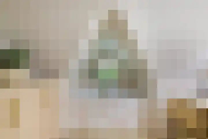 Wyandottelaan 5 Barneveld thumbnail 26