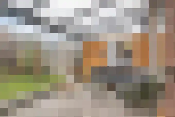 Wyandottelaan 5 Barneveld thumbnail 29