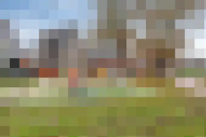 Wyandottelaan 5 Barneveld thumbnail 35