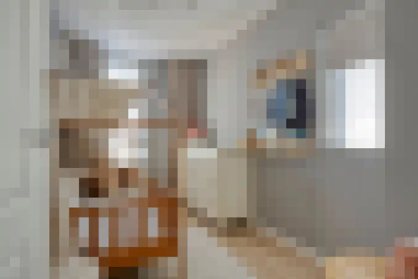 Wyandottestraat 12 Amsterdam thumbnail 25
