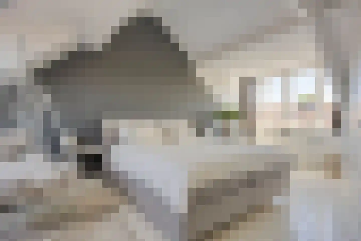 Wyandottestraat 12 Amsterdam thumbnail 30