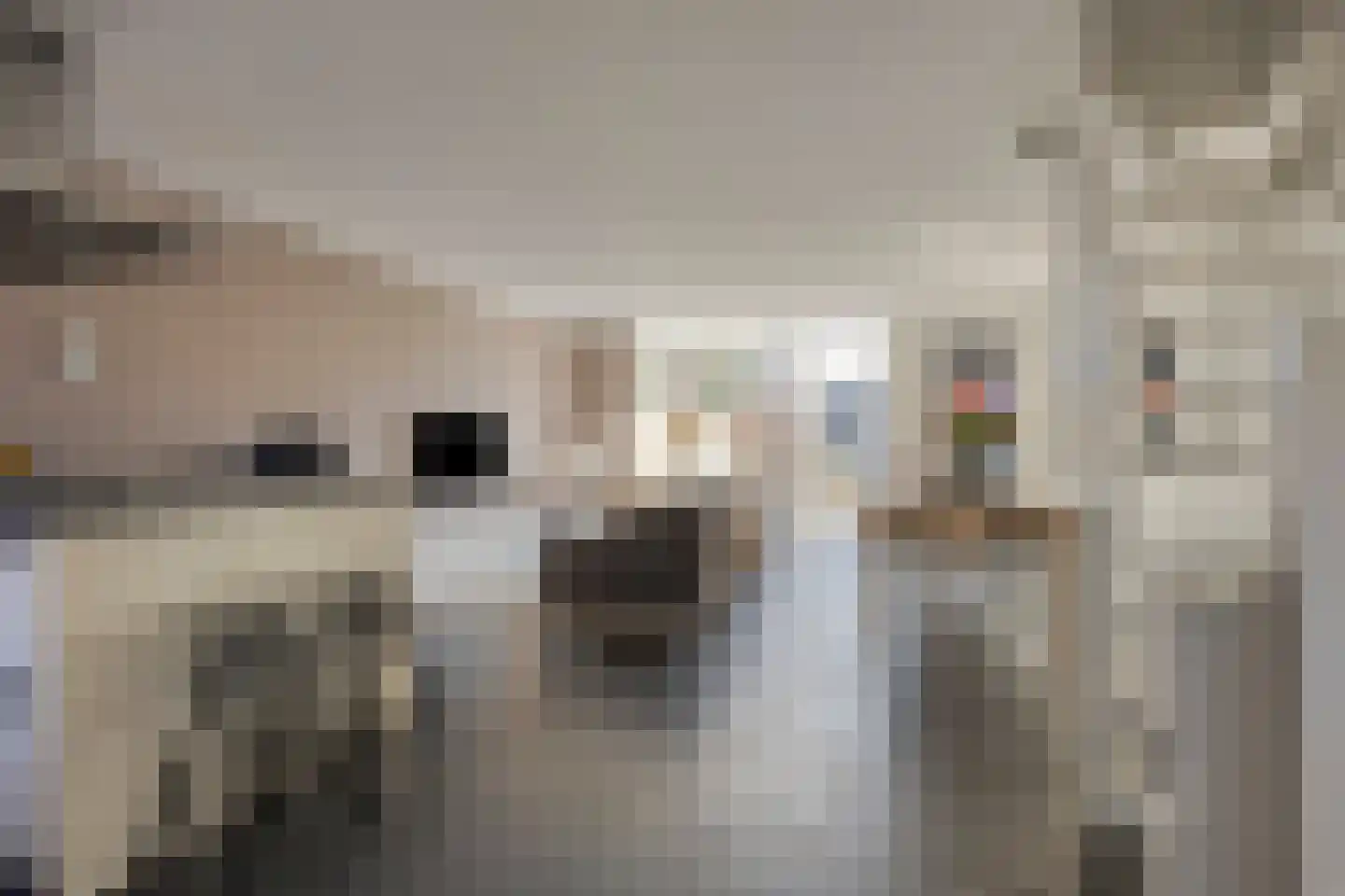 Wyandottestraat 12 Amsterdam thumbnail 8