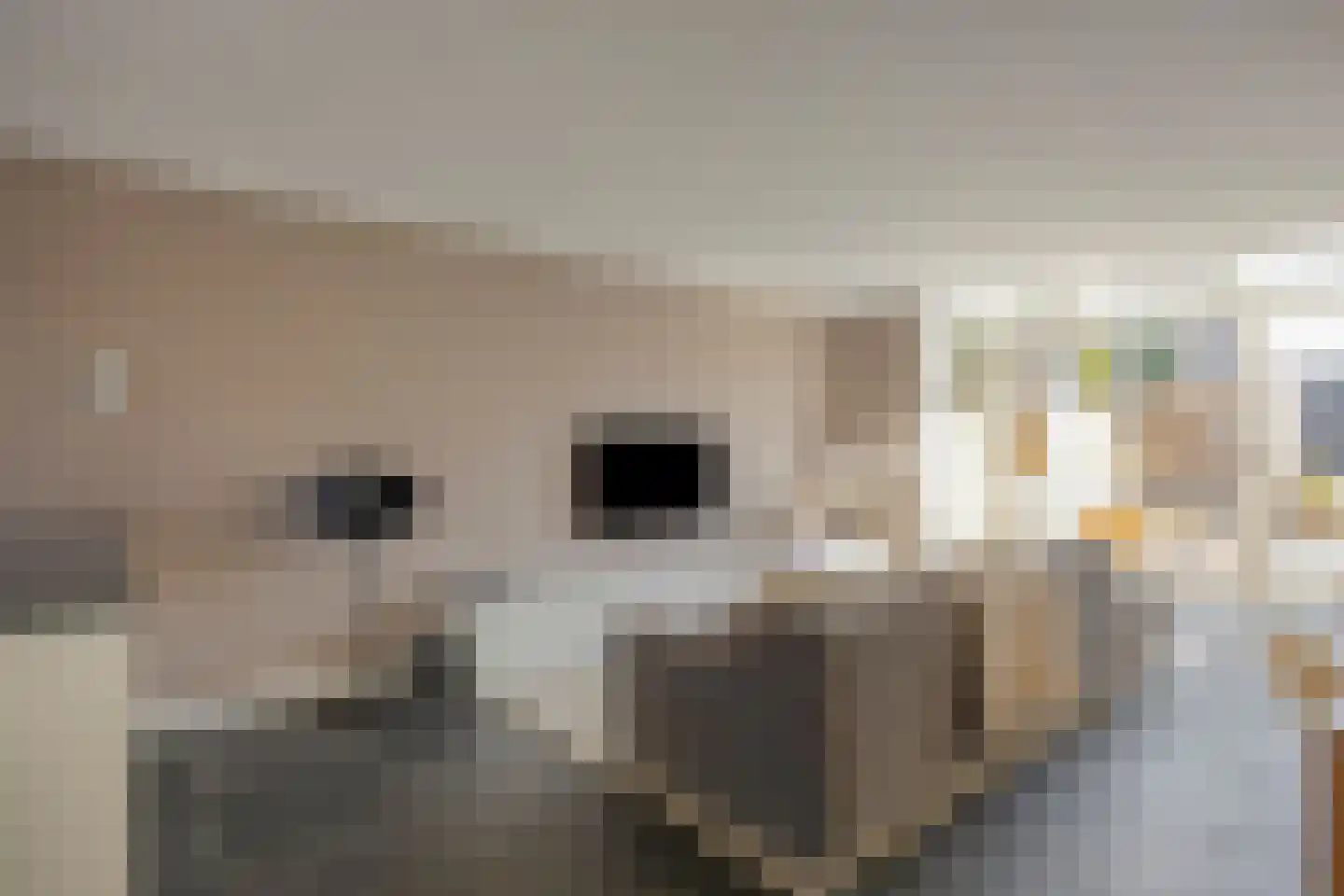 Wyandottestraat 12 Amsterdam thumbnail 9