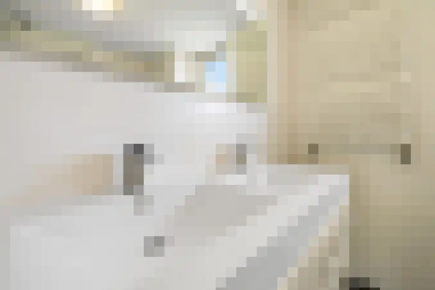 Wyandottestraat 14 Amsterdam thumbnail 24