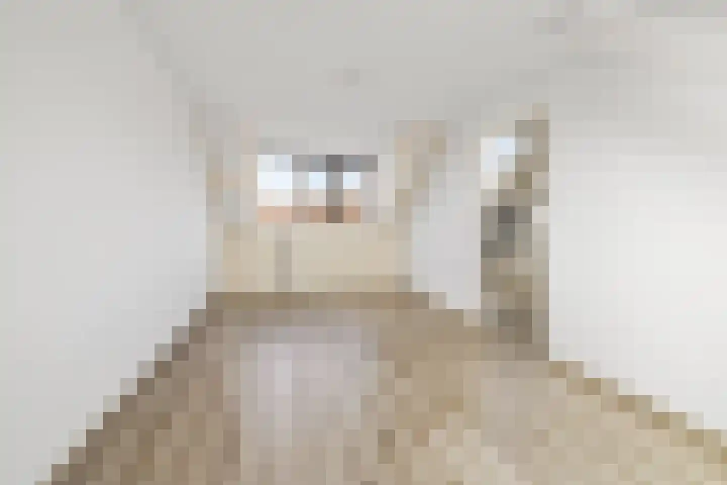 Wyandottestraat 14 Amsterdam thumbnail 27