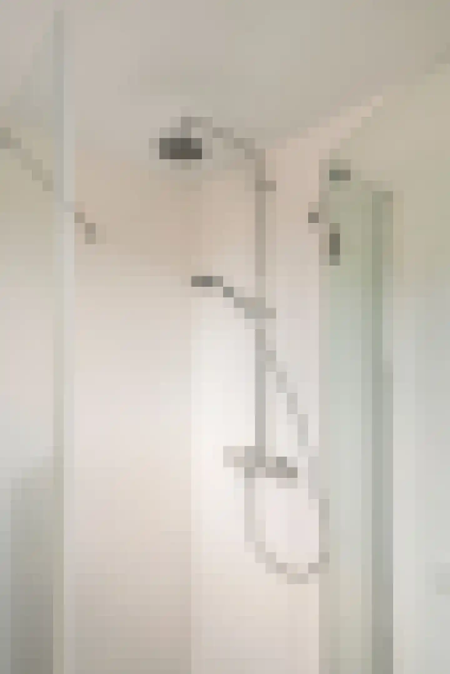 Wyandottestraat 14 Amsterdam thumbnail 32