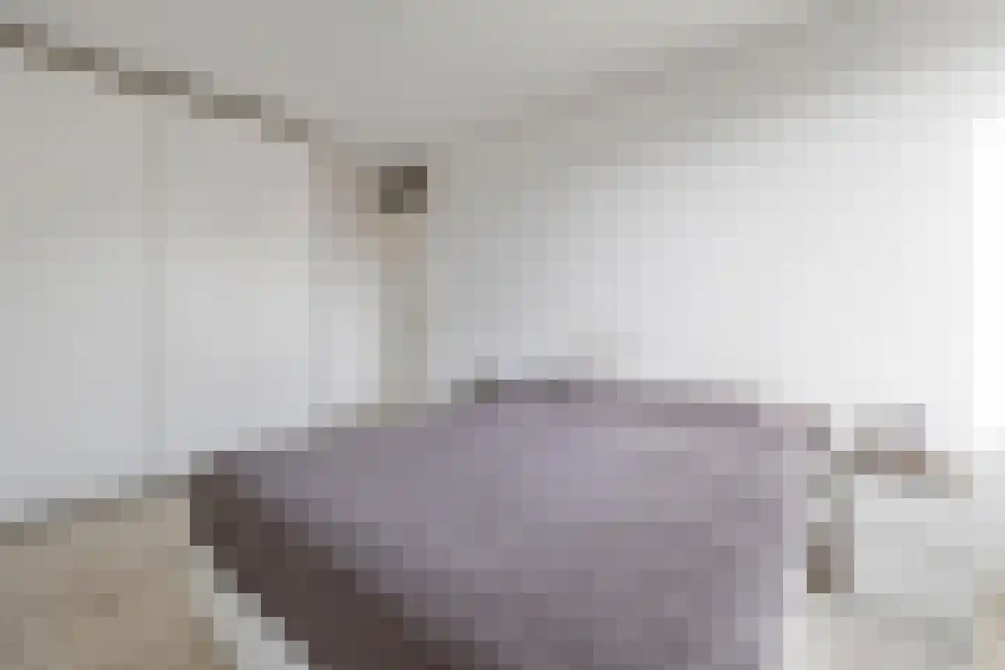 Wyandottestraat 14 Amsterdam thumbnail 39