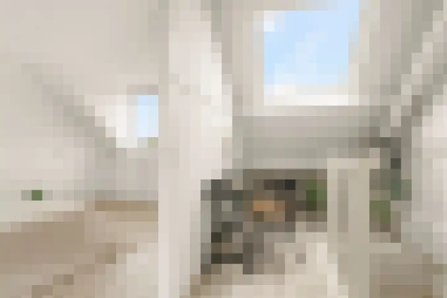 Wyandottestraat 14 Amsterdam thumbnail 40