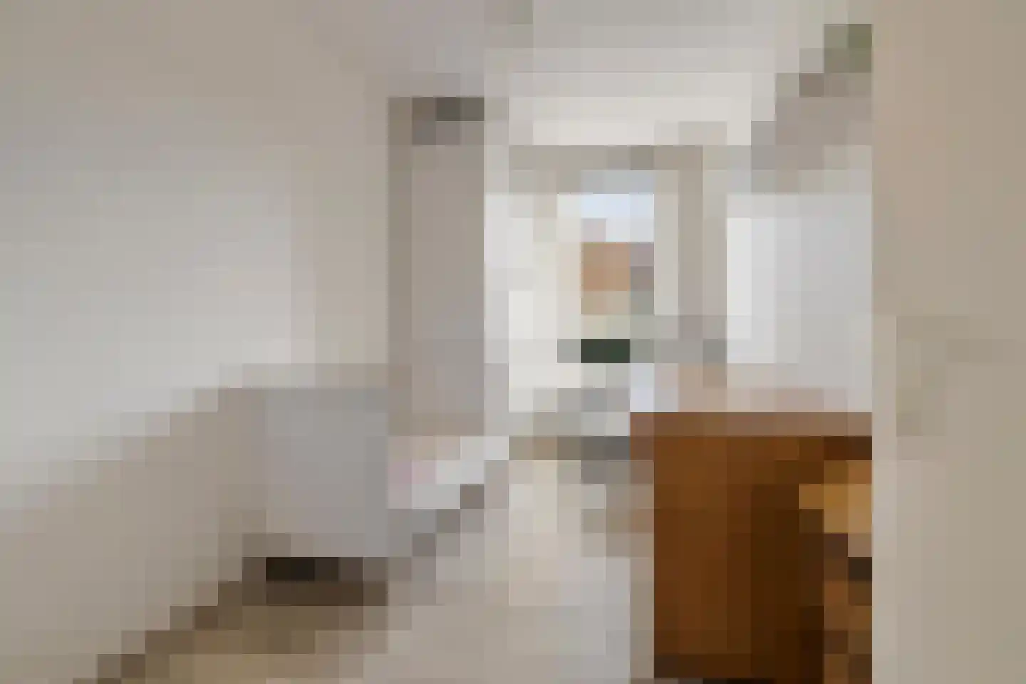 Wyandottestraat 14 Amsterdam thumbnail 40