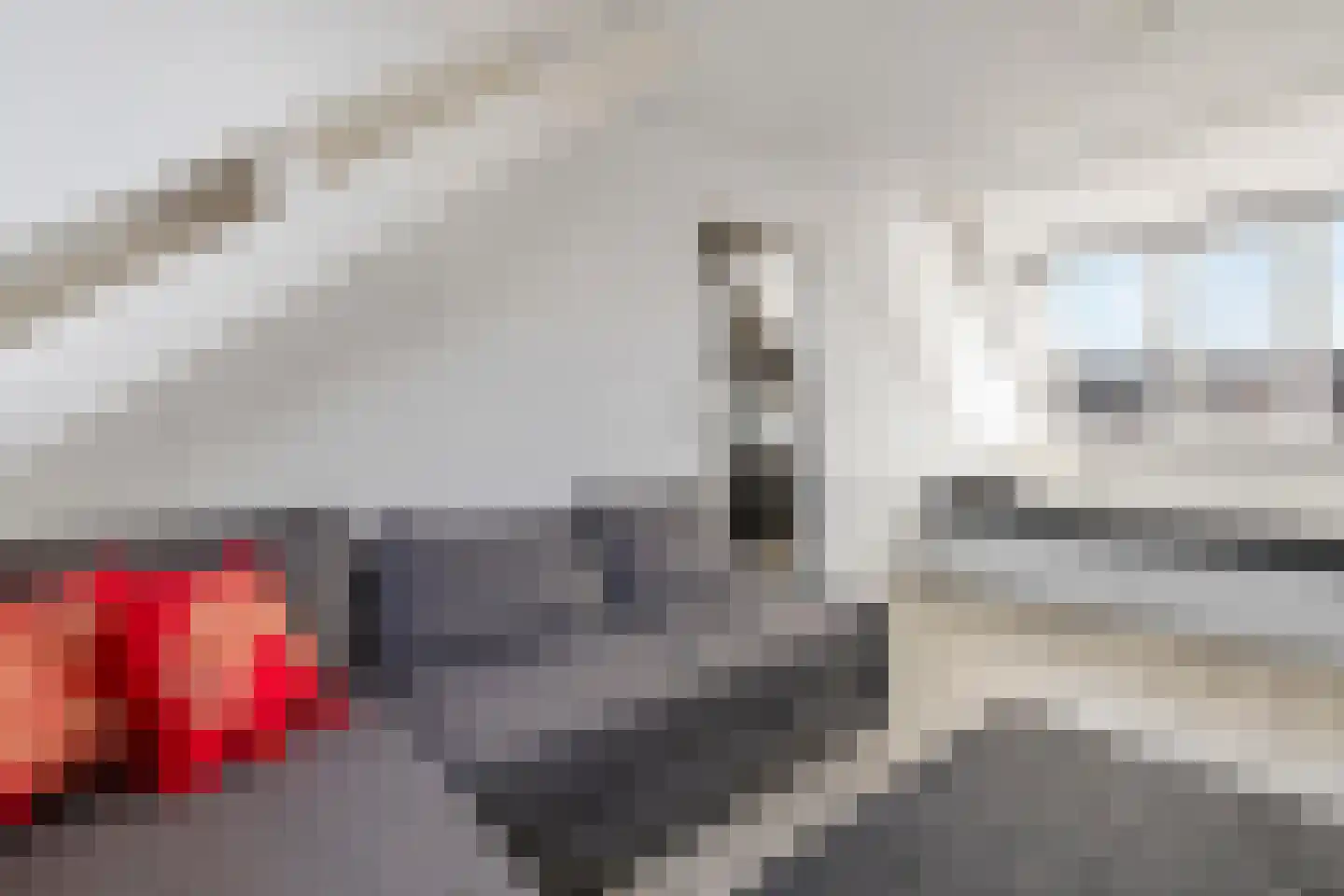 Wyandottestraat 14 Amsterdam thumbnail 43