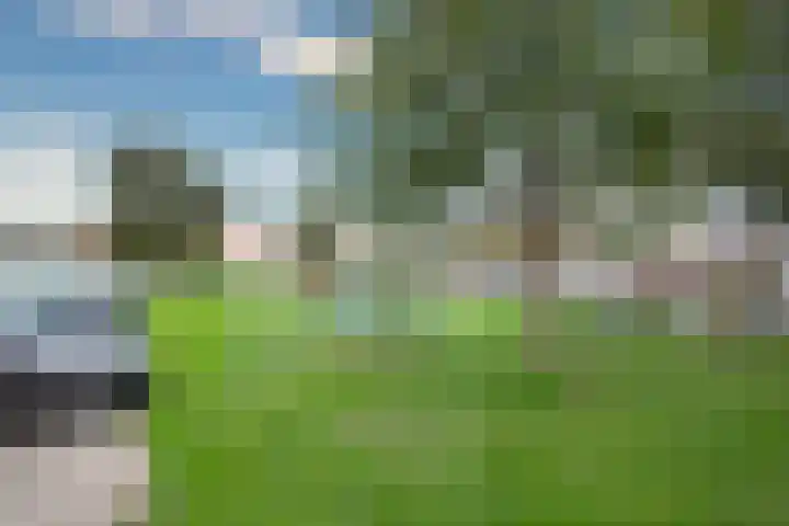 Wycher van Russellstraat 32 Hasselt thumbnail 11