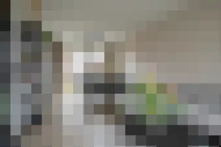 Wycher van Russellstraat 32 Hasselt thumbnail 18