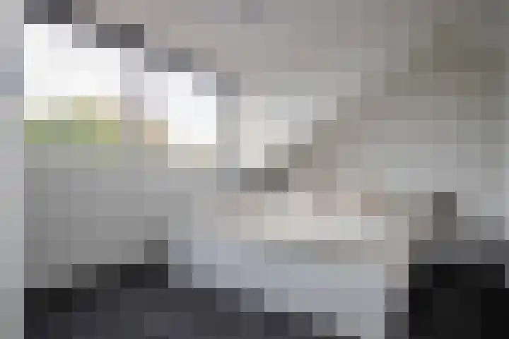 Wycher van Russellstraat 32 Hasselt thumbnail 47