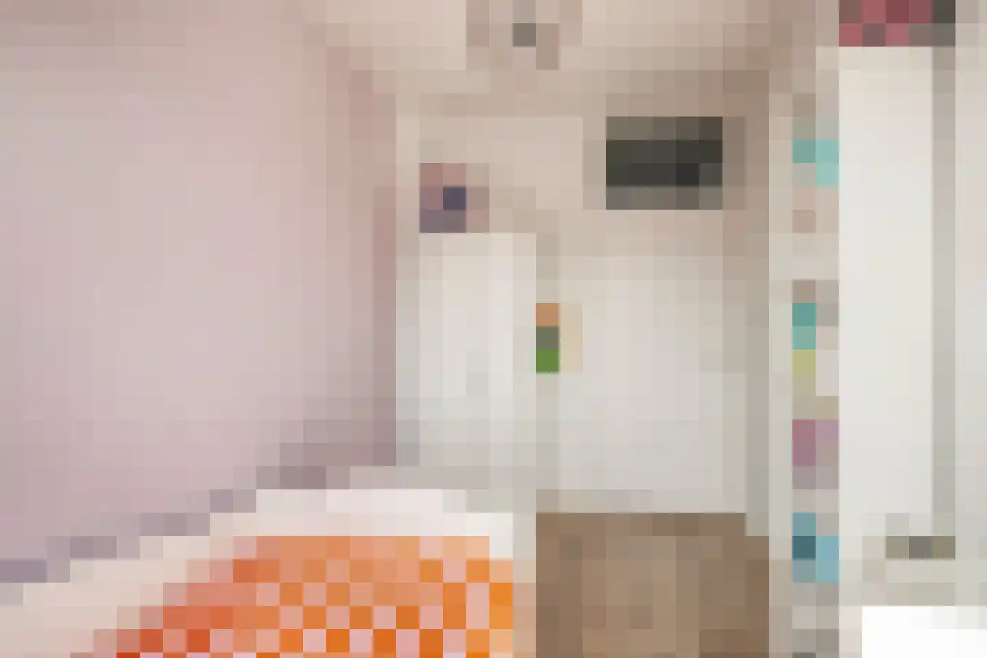 Wycher van Russellstraat 53 Hasselt thumbnail 30