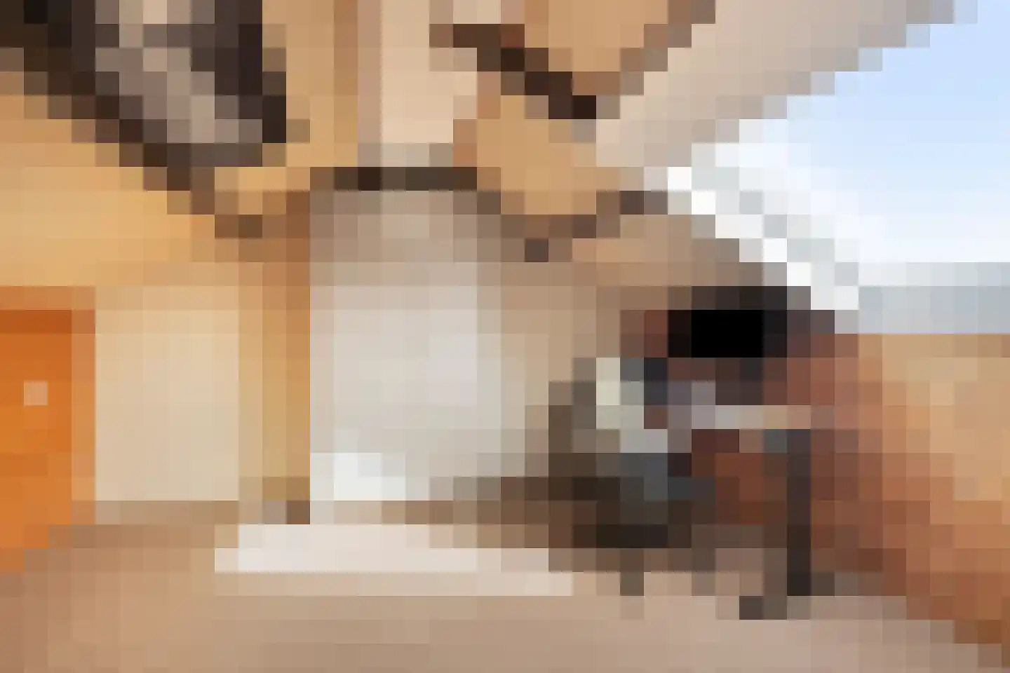 Wycher van Russellstraat 53 Hasselt thumbnail 33