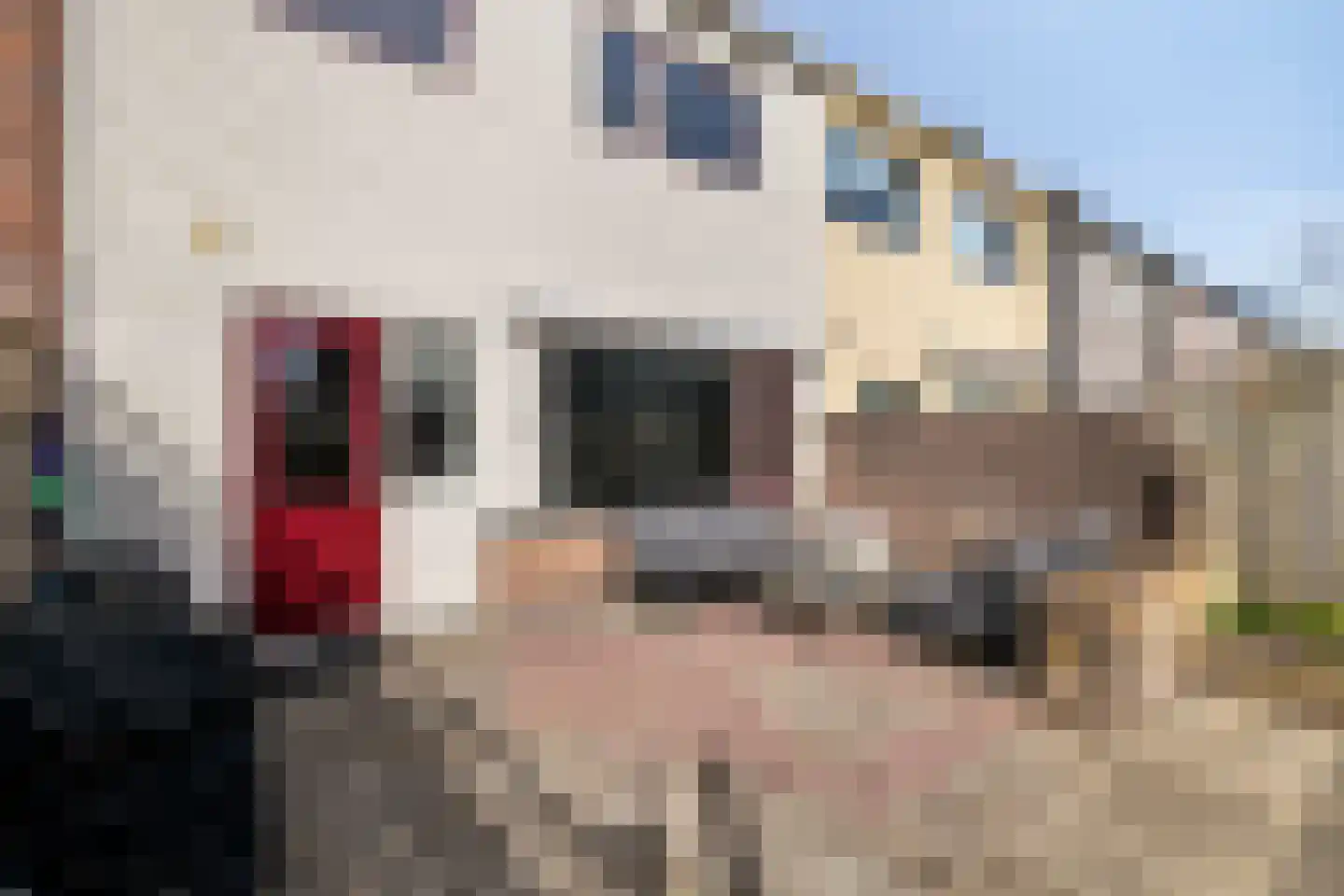 Wycher van Russellstraat 53 Hasselt thumbnail 35