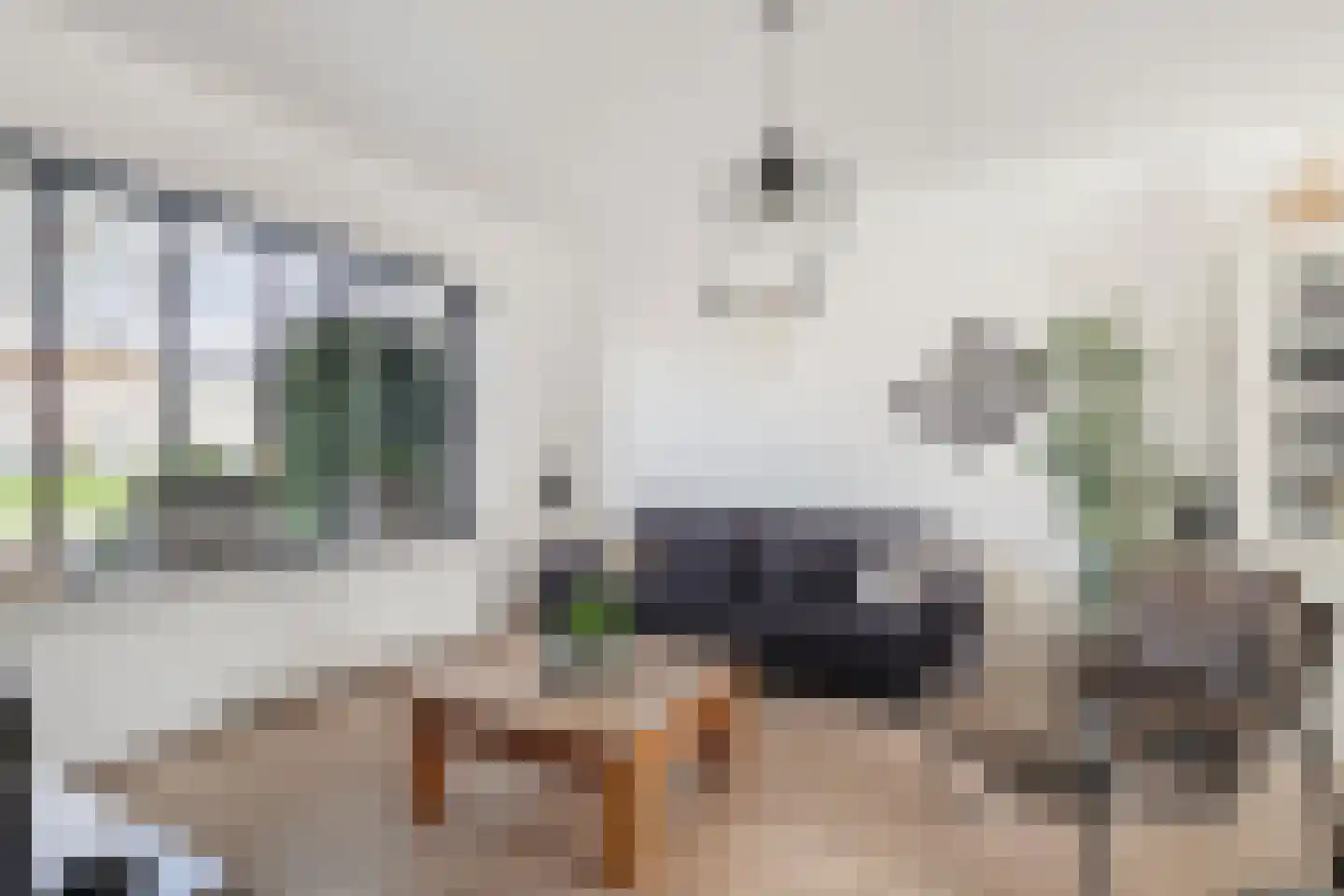 Wycher van Russellstraat 53 Hasselt thumbnail 8