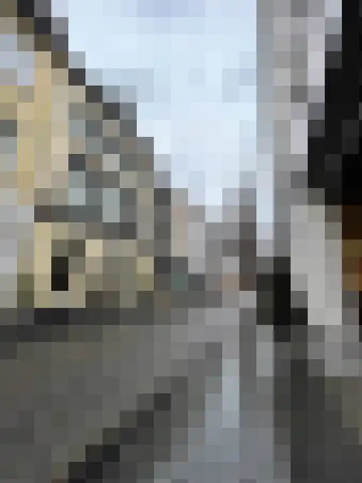 Wycker Heidenstraat 2 B 01 Maastricht thumbnail 25