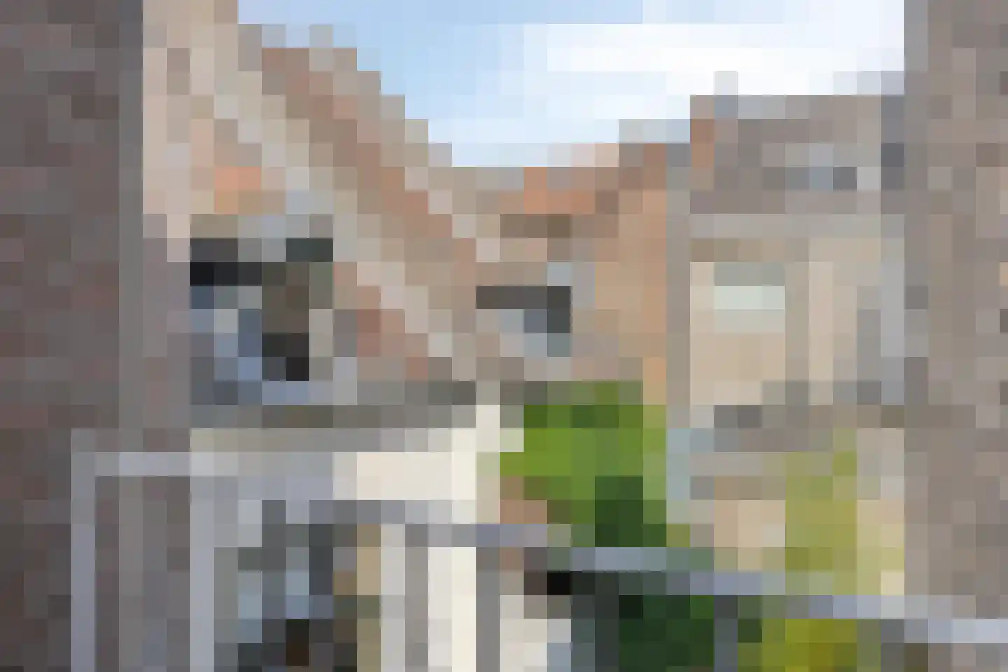 Wycker Smedenstraat 9 C Maastricht thumbnail 25