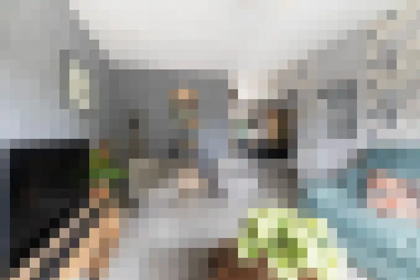 Wyger Martensstrjitte 16 Damwâld thumbnail 10