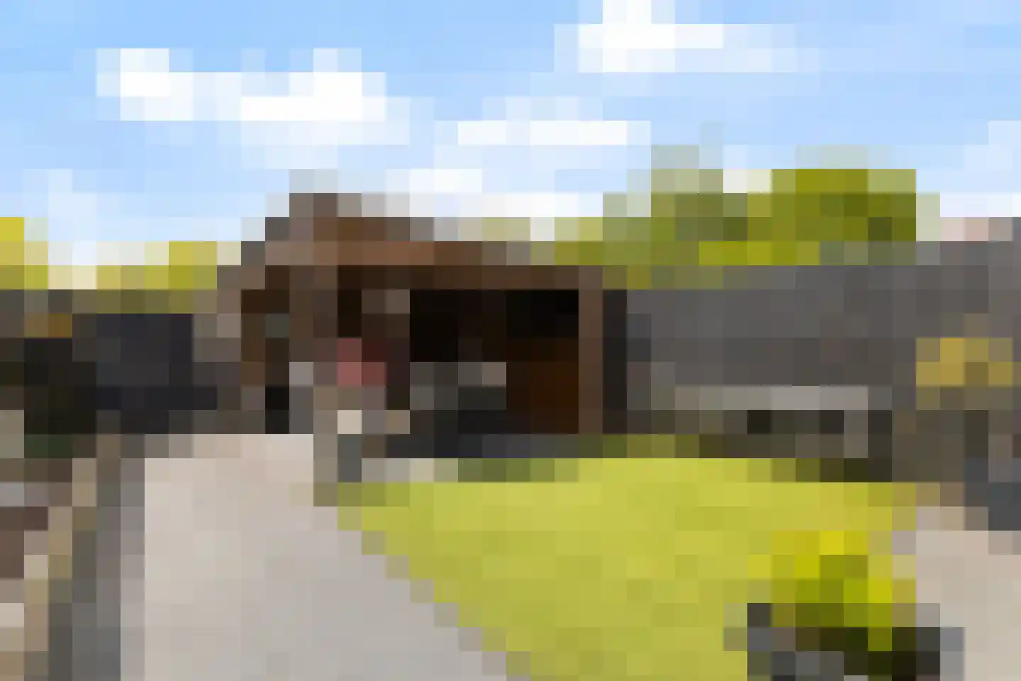 Wyger Martensstrjitte 16 Damwâld thumbnail 14