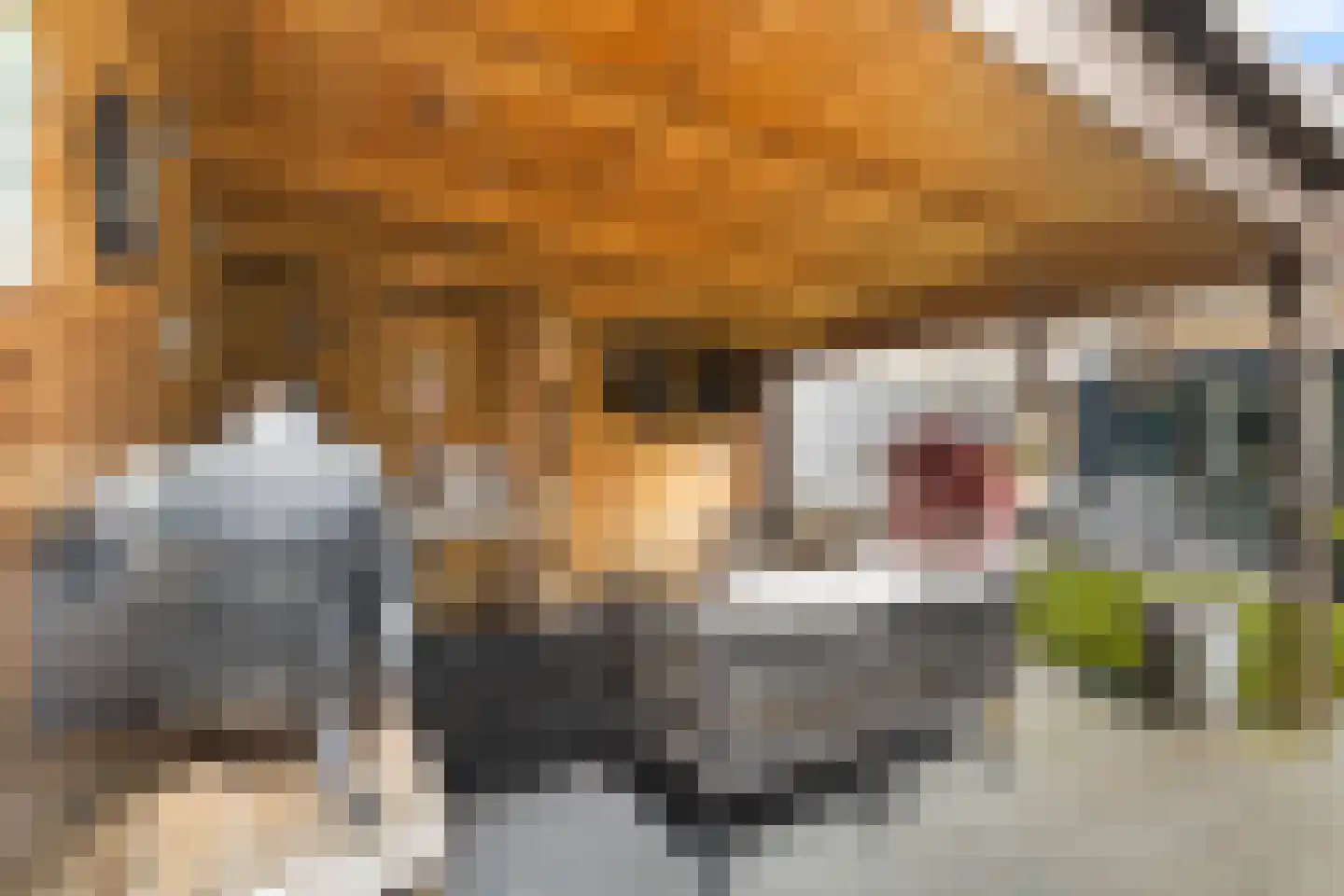 Wyger Martensstrjitte 16 Damwâld thumbnail 15