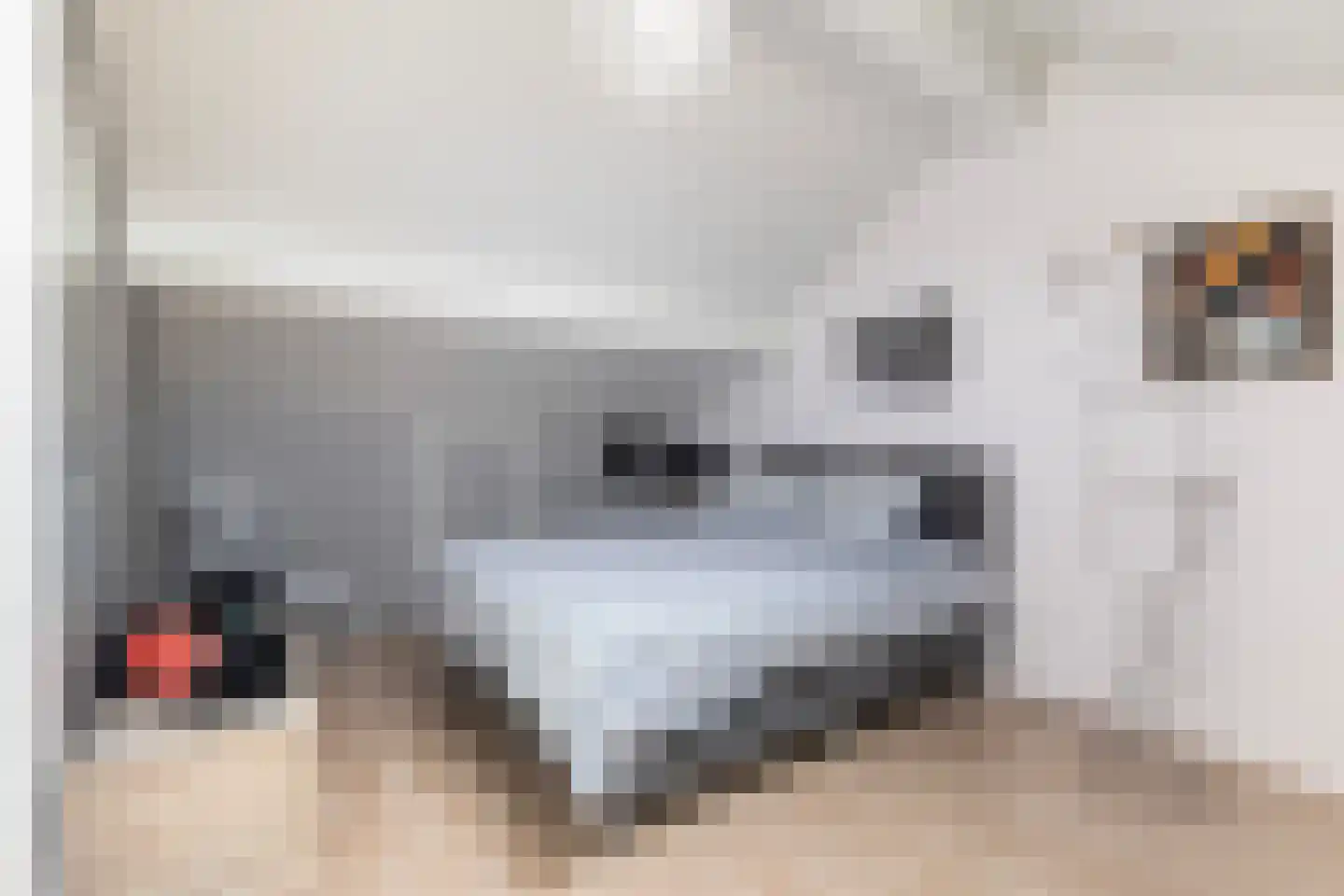 Wyger Martensstrjitte 16 Damwâld thumbnail 31