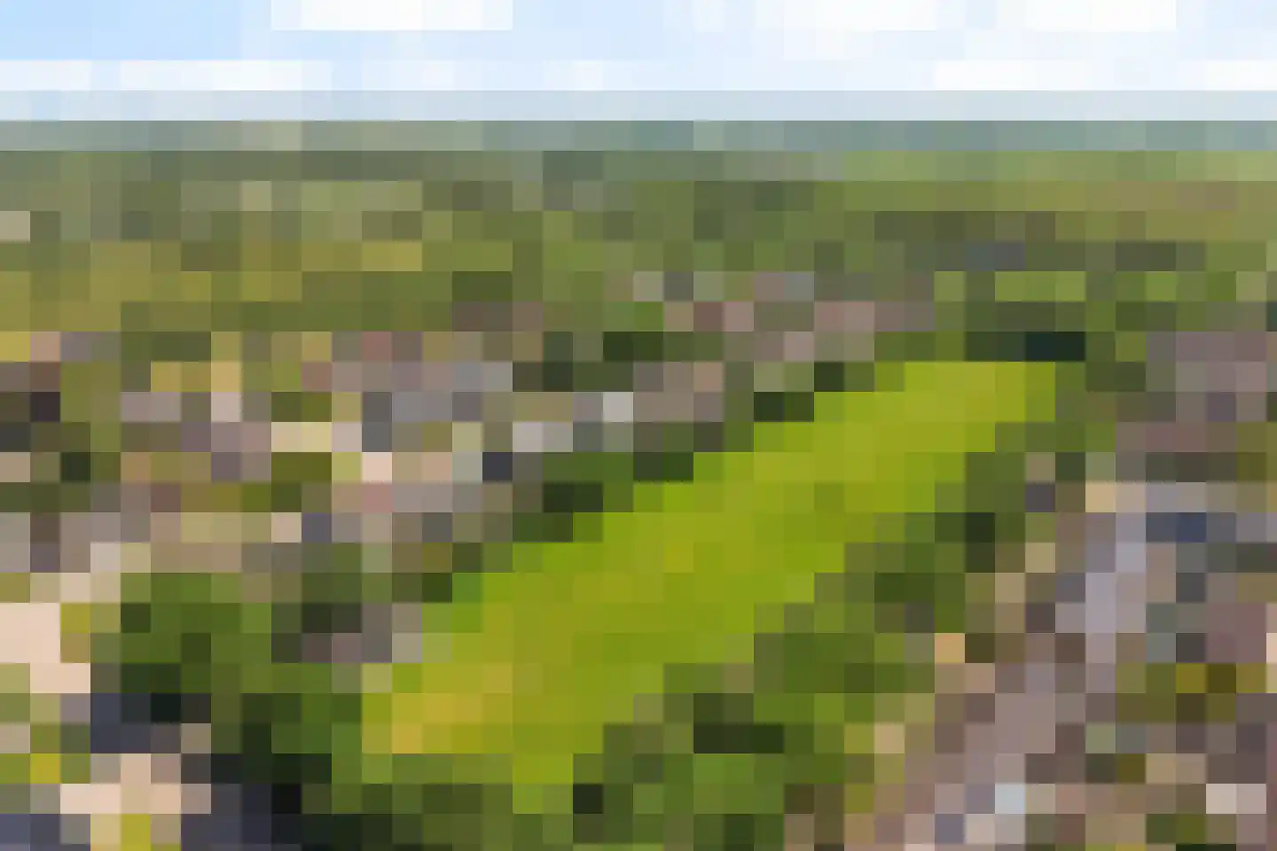Wyger Martensstrjitte 16 Damwâld thumbnail 35