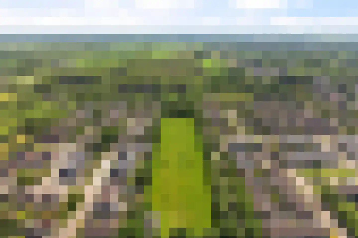 Wyger Martensstrjitte 16 Damwâld thumbnail 36